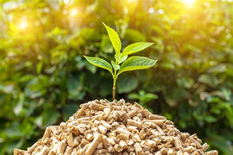 hellmuth pellets|hellmuth energie.
